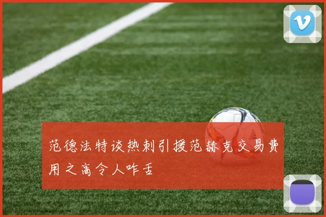 范德法特谈热刺引援范赫克交易费用之高令人咋舌