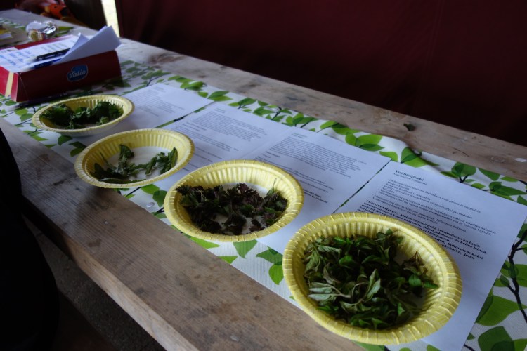 vappuhortoilua 006.JPG